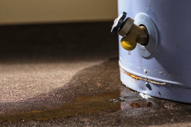  White Bear Lake, MN Water damage restoration Pros