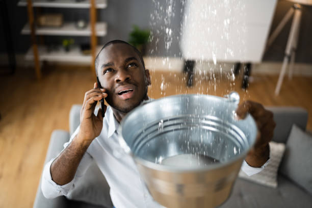 Best Water damage restoration process  in White Bear Lake, MN
