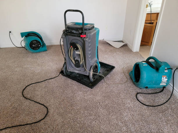 Best 24/7 water damage repair  in White Bear Lake, MN