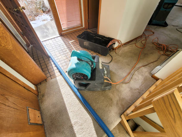Best Residential water damage restoration  in White Bear Lake, MN