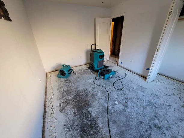 Best Water damage restoration near me  in White Bear Lake, MN